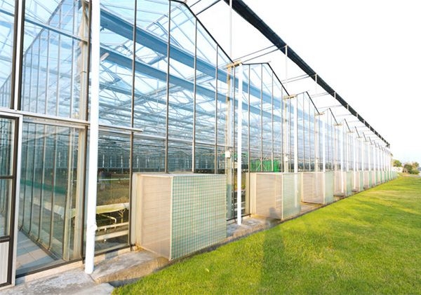 山東溫室大棚廠家