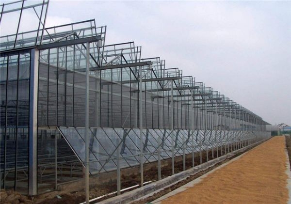 山東溫室大棚廠家