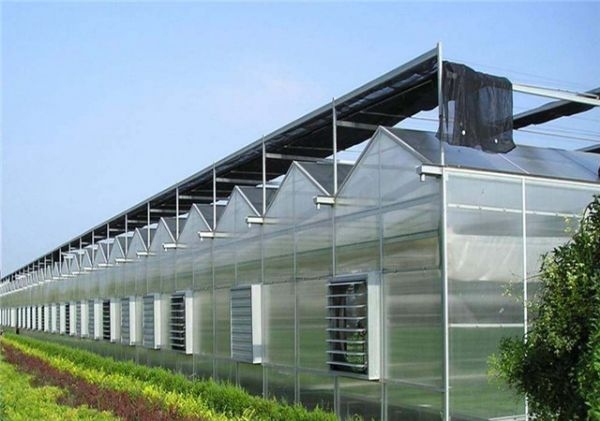 山東智能溫室大棚廠家
