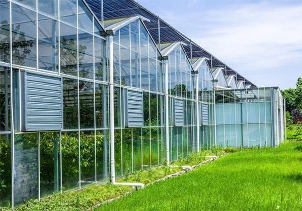 山東溫室大棚廠家