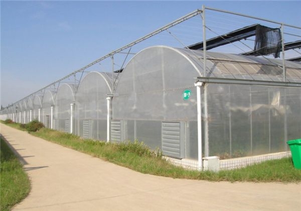 山東溫室大棚廠(chǎng)家